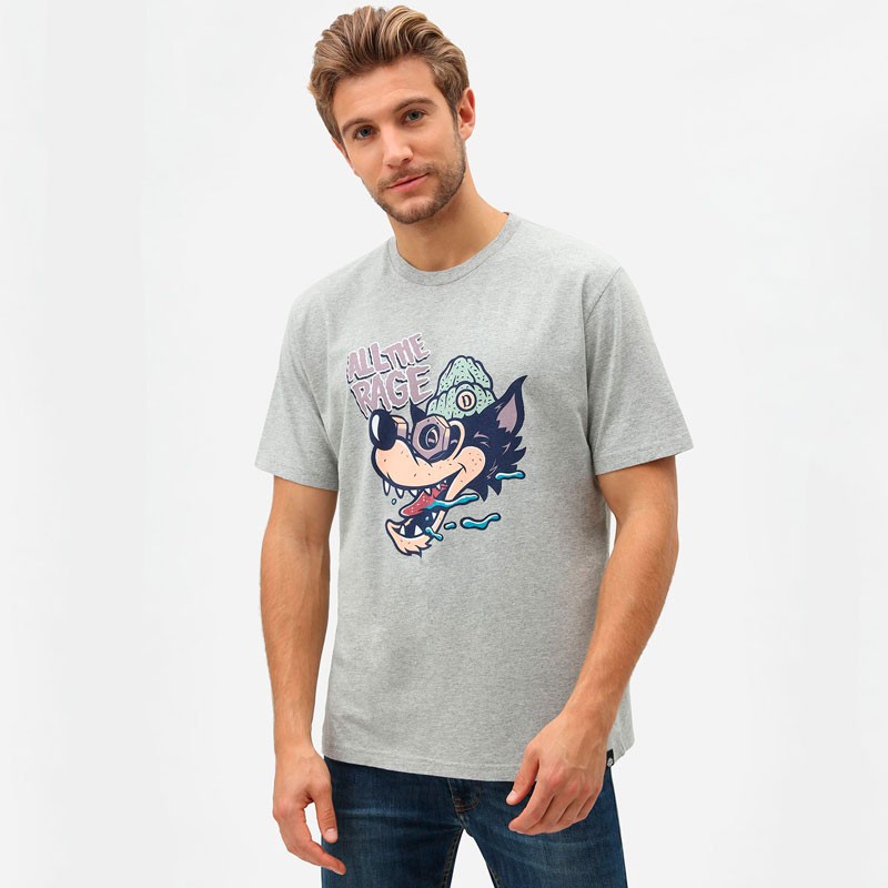 CAMISETA DICKIES REIDSVILLE GRIS